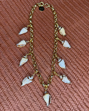Multi Shell Necklace